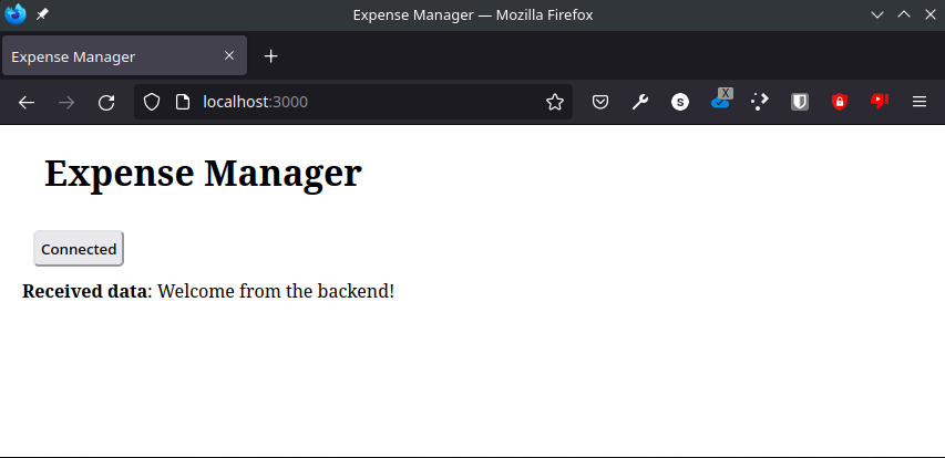 Page with Connected button and response from backend